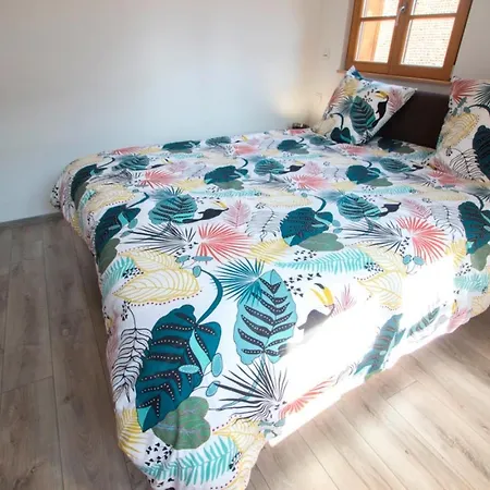 Tatil Evi Le Divin Classe 4 Etoiles Hunawihr